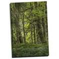 thumbnail image 2 of Gango Home Decor Contemporary Quinault Rainforest I by Kathy Mahan (Ready to Hang); One 16x24in Hand-Stretched Canvas, 2 of 4