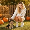 thumbnail image 5 of Pet Halloween Costumes Dogs Cats Halloween Witch Pet Costume Cape Hat Halloween Cloak Wizard Cats Cosplay Clothes Apparel for Small Dogs Cats Halloween Party Decorations, 5 of 6