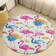 thumbnail image 4 of Flamingo Pattern Washable Round Rug -Circle Area Rugs for Nursery Bedroom, Vintage Non Slip Non Shedding Low Pile Carpet for Living Room Coffee Table Entryway, 4 of 6