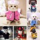 thumbnail image 3 of Labymos Moda divertida mascota perro gato ropa, 3 of 8