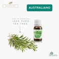 thumbnail image 2 of Aceite Tea Tree Australiano 100% Puro Árbol De Té Certificado ARBORA NA, 2 of 5