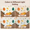 thumbnail image 7 of Design&I 8'x10' Washable Area Rug Sleek Flatweave Pet Friendly Abstract Sunflower Petal Motif Contemporary Decorative Orange for King Size Bedroom, Under Bed, 7 of 7