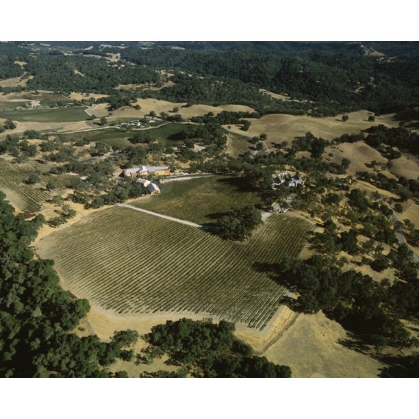 Aerial view of the Paso Robles Wine Country California USA Poster Print