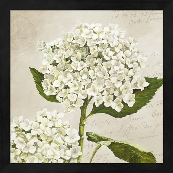 Hydrangeas II (Neutre) by Remy Dellal, Framed Wall Art, 13.25W x 13.25H