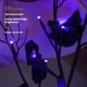 thumbnail image 4 of Luces decorativas de Halloween ajustables de color naranja y morado con LED, 4 of 6