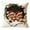 F, variant on JoyMoreHome Winter Theme Printed Cushion Cover, 17.7x17.7 Inch Soft Cozy Decorative Throw Pillow Cover, for Livingroom, Office, Car, Bedroom, Sofa