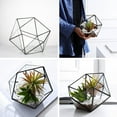thumbnail image 3 of Gold Black Glass Geometric Terrarium Planter Pentagon Container Modern Decor, 3 of 10
