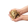 thumbnail image 3 of ⭐ Gardenera Labs Premium CARNIVOROUS Plant Potting Mix - 1 QUART Sphagnum Moss and Perlite Blend for Potting Venus Fly Traps, Sarracenia, Pitcher Plants, 3 of 6