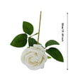 thumbnail image 3 of Cinco flores decorativas pequeñas de franela con imitación de rosa y perlas, para bodas y decoración, 3 of 8