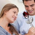 thumbnail image 1 of Feltree Eternal for Your Mini Crystal Flower with Crystal Roses Wedding Feng Shui Decoration Room Gift, 1 of 8