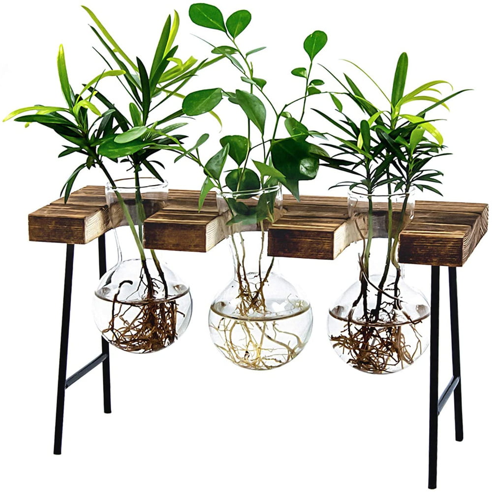 US Wooden Stand Glass Terrarium Container Hydroponics Plant Flower Pot Desk 