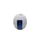 thumbnail image 1 of Soidarity Dispensador de pastillas para piscina, herramienta dispensadora de agua de limpieza, contenedor aplicador, accesorio para patio trasero, Hotel, Deportes acuáticos Soidarity OD024979-00, 1 of 6