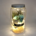 thumbnail image 1 of Rosa eterna romántica, luz nocturna de Rosa nunca marchita, botella de deseos, jabón de flores preservadas, botella de deseos de cristal con flor de rosa, 1 of 7