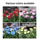 thumbnail image 4 of 2PCS Solar Rose Lamp-Three Roses (Azul) Adepaton CPB-US-DYP527-4, 4 of 4
