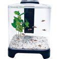 thumbnail image 2 of Penn Plax Betta Réservoir avec filtre interne, 2 of 4