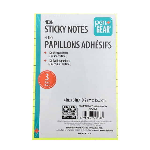 Pen+Gear 4X6 en néon, 3 pièces de notes, total 300 feuilles