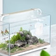 thumbnail image 5 of KAKOWELY Alimentador de alimentos para peces de acuario, anillo de alimentación transparente con ventosa, 5 of 5