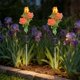 thumbnail image 4 of CaiYueKe Solar Powered Rose Garden Lights Outdoor Waterproof LED Decorative Lawn Stake Lights for Yard Pathway Patio Landscape Decor, 4 of 7