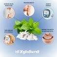 thumbnail image 3 of XyloBurst Gum | Xylitol Chewing Gum | Sugar Free, Gluten Free, Keto Friendly | Aspartame Free Gum For Oral Health | Peppermint | 12 Pieces, Pack of 12, 3 of 7
