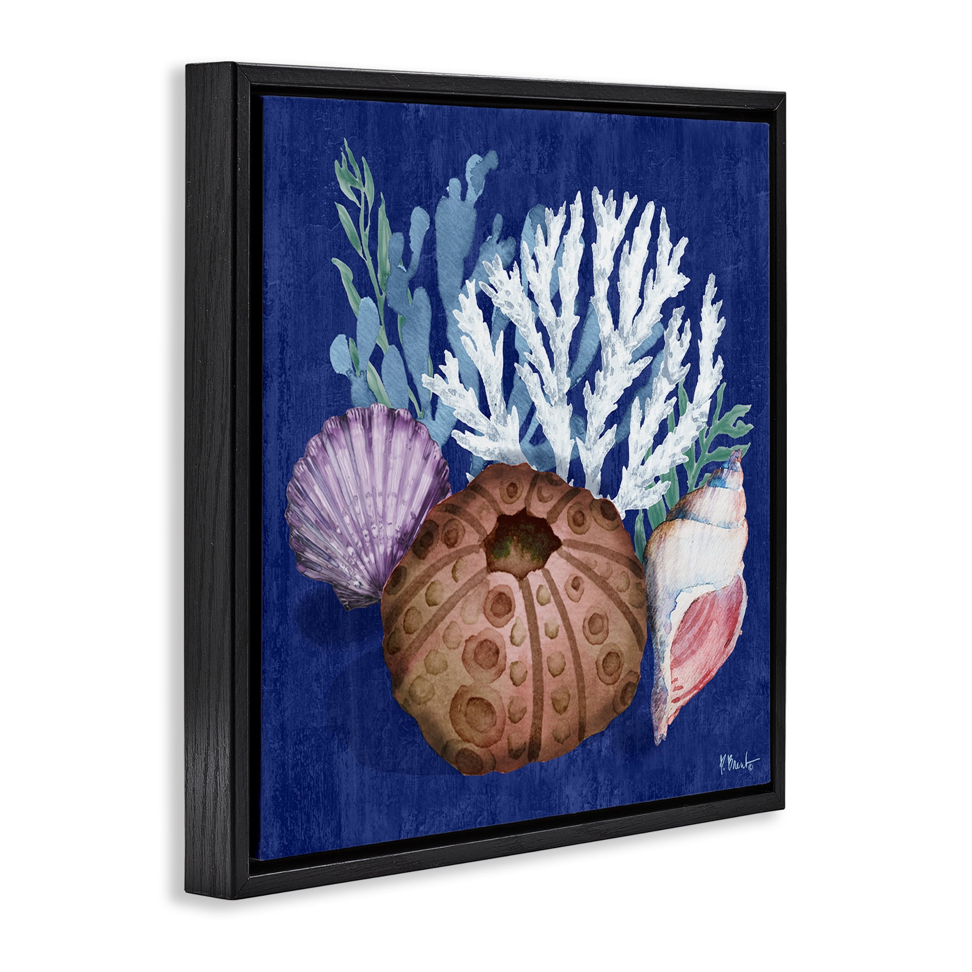 Stupell Industries Urchin & Coral Still Life Coastal Painting Black Floater Framed Canvas Art Print Wall Art, 18 x 18
