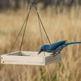 thumbnail image 2 of Perky-Pet 1.6 lb Hanging Tray Bird Feeder, 2 of 3
