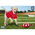 thumbnail image 3 of Pets First NCAA Wisconsin Badgers Strong, Durable, Chewable Football Dog Toy with Inner Squeaker and Side Ropes, Officialy Licensed, 3 of 7