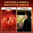 thumbnail image 3 of W Heat Lamp Infra Heat Lamp Bulb for Chicks Reptile Puppies Brooder Bulb Food Service Bathroom Light Therapy Use E Base, 3 of 6
