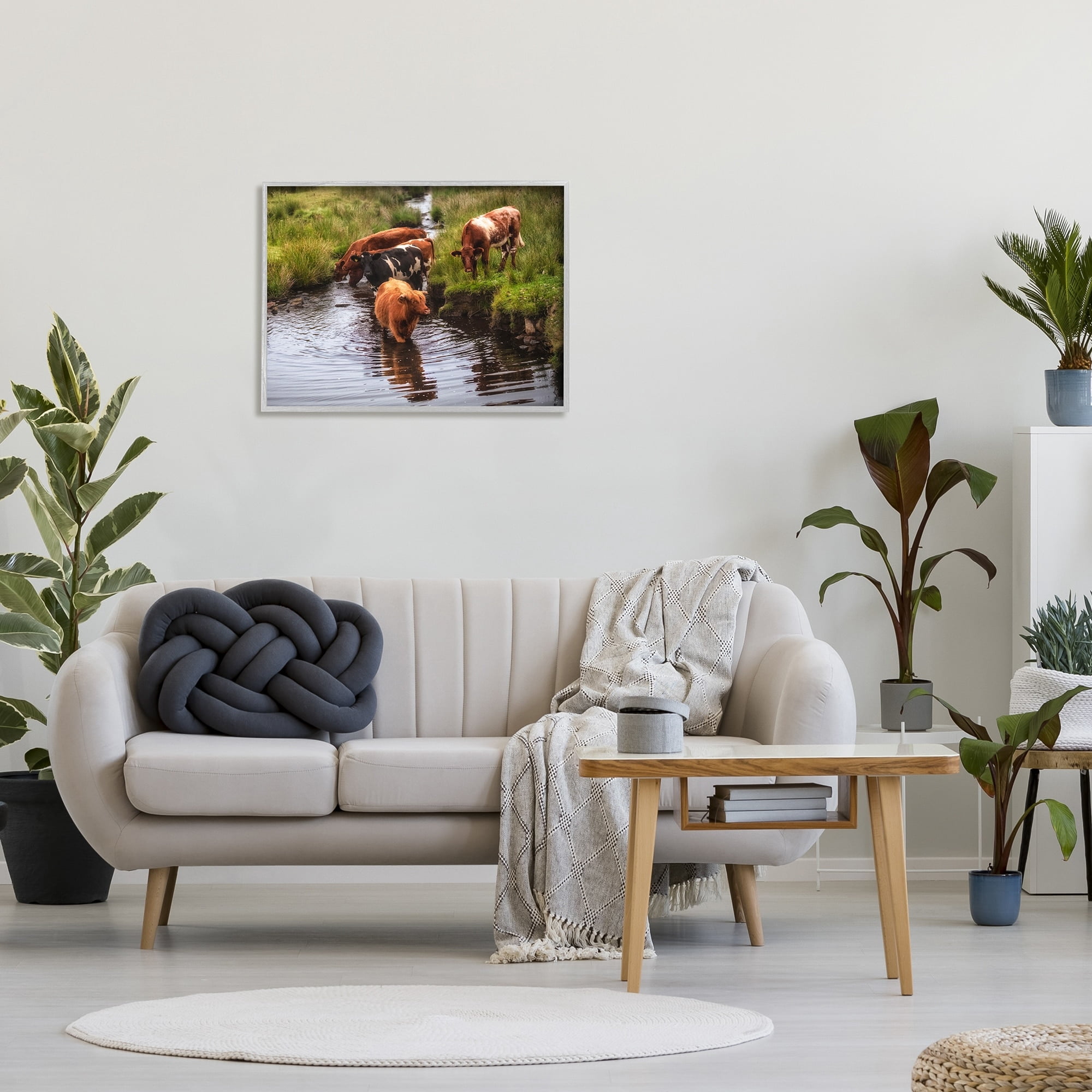 Stupell Industries Rural Cattle Enjoying Stream Water Between Grassland Photograph Gray Framed Art Print Wall Art, Design by James Dobson