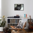 thumbnail image 6 of Black Grey Wolf with Snowy Face, Framed Art Print Wall Art Sold by Art.Com, 6 of 6
