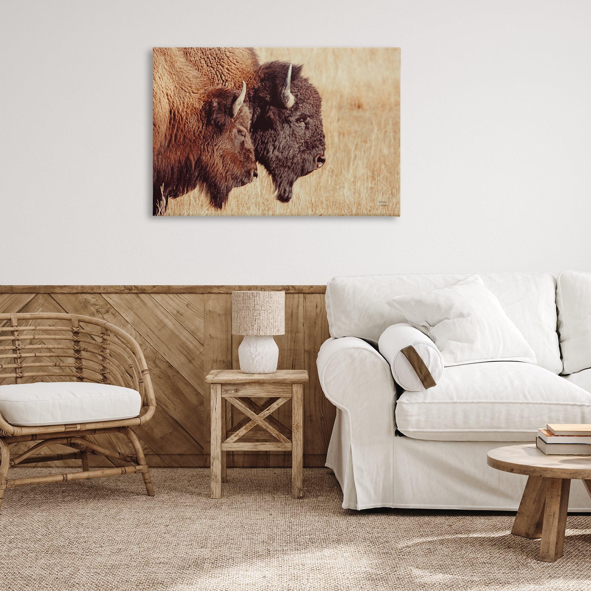 Stupell Industries Bison Pair in Countryside Animals Photography Wrapped Canvas Art Print Wall Art, 36 x 24