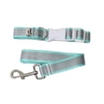 thumbnail image 5 of Juego de correa con collar Infanti Pets turquesa mediana, 5 of 5