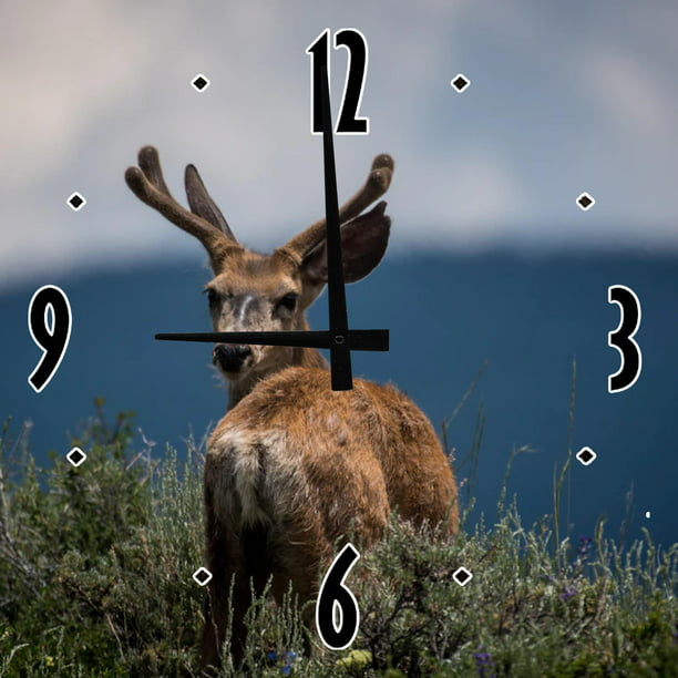Whitetail Deer Hunting 12 Inch Square Wood Wall Clock Open Field Home Decor Art Com - Deer Hunting Home Decor
