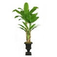 thumbnail image 1 of 86" Tall Banana Tree Artificial Faux Contemporary with Real Touch Leaves in Planter By Minx NY, 1 of 4