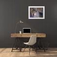 thumbnail image 3 of Fitzharris, Tim 18x15 White Modern Wood Framed Museum Art Print Titled - Gray wolf, 3 of 4