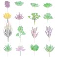 thumbnail image 1 of Arreglo de plantas suculentas artificiales realistas para el escritorio del hogar Suculentas realistas en una decoración moderna, 1 of 6