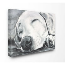 Stupell Industries Sleepy Dog Pet Animal Watercolor Painting Canvas Wall Art by George Dyachenko