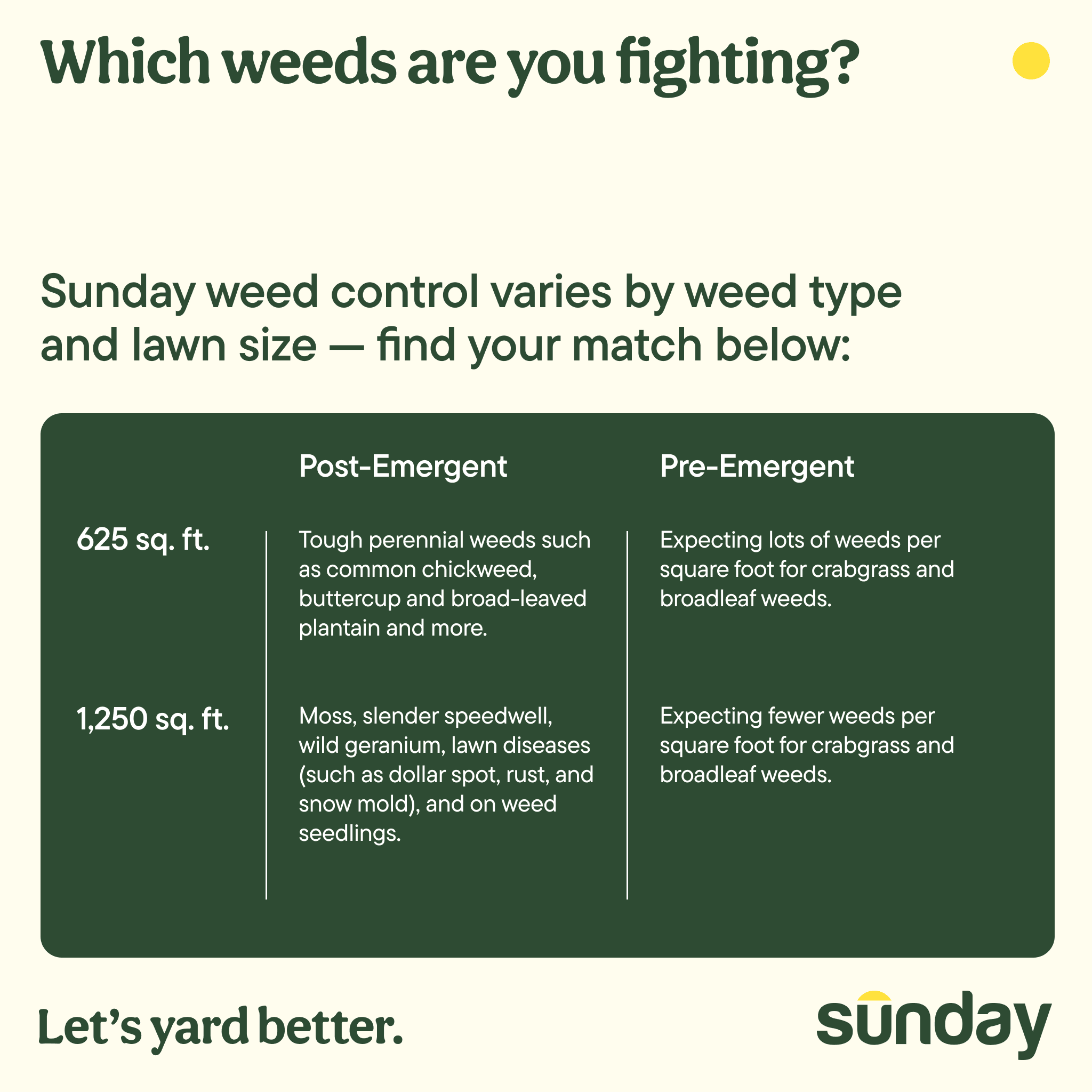 Sunday Weed & Green 5-in-1 Pre-Emergent and Post-Emergent Lawn Weed Killer, 1,250 Sq ft, 32 fl oz