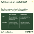 thumbnail image 6 of Sunday Weed & Green 5-in-1 Pre-Emergent and Post-Emergent Lawn Weed Killer, 1,250 Sq ft, 32 fl oz, 6 of 7