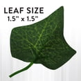 thumbnail image 5 of Xtreme Lit 5ft Indoor Curtain Vine LED Lights with Green Ivy Leaves, Warm White, 3 AA Not Included, 5 of 8