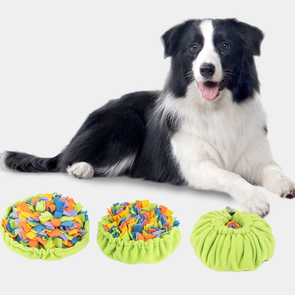 Dog puzzle blanket hotsell