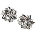 thumbnail image 1 of ziyahi 2Pcs Strass Chaussures Clips Bijoux Cristal Chaussure Boucle Robe de Mariée Diamant, 1 of 5