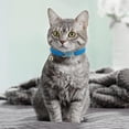 thumbnail image 2 of Minzimin 4 Pcs Rhinestone Cat Collar Heart Bling Breakaway Girl Cat Soft Velvet Fancy Adjustable Safety Kitten Collar with Bell for Kitty(Pink, Purple), 2 of 6