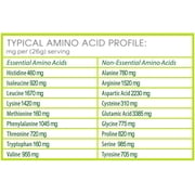 Balanced Greens - Certified-Organic Pea Protein - Vanilla - 15 Servings