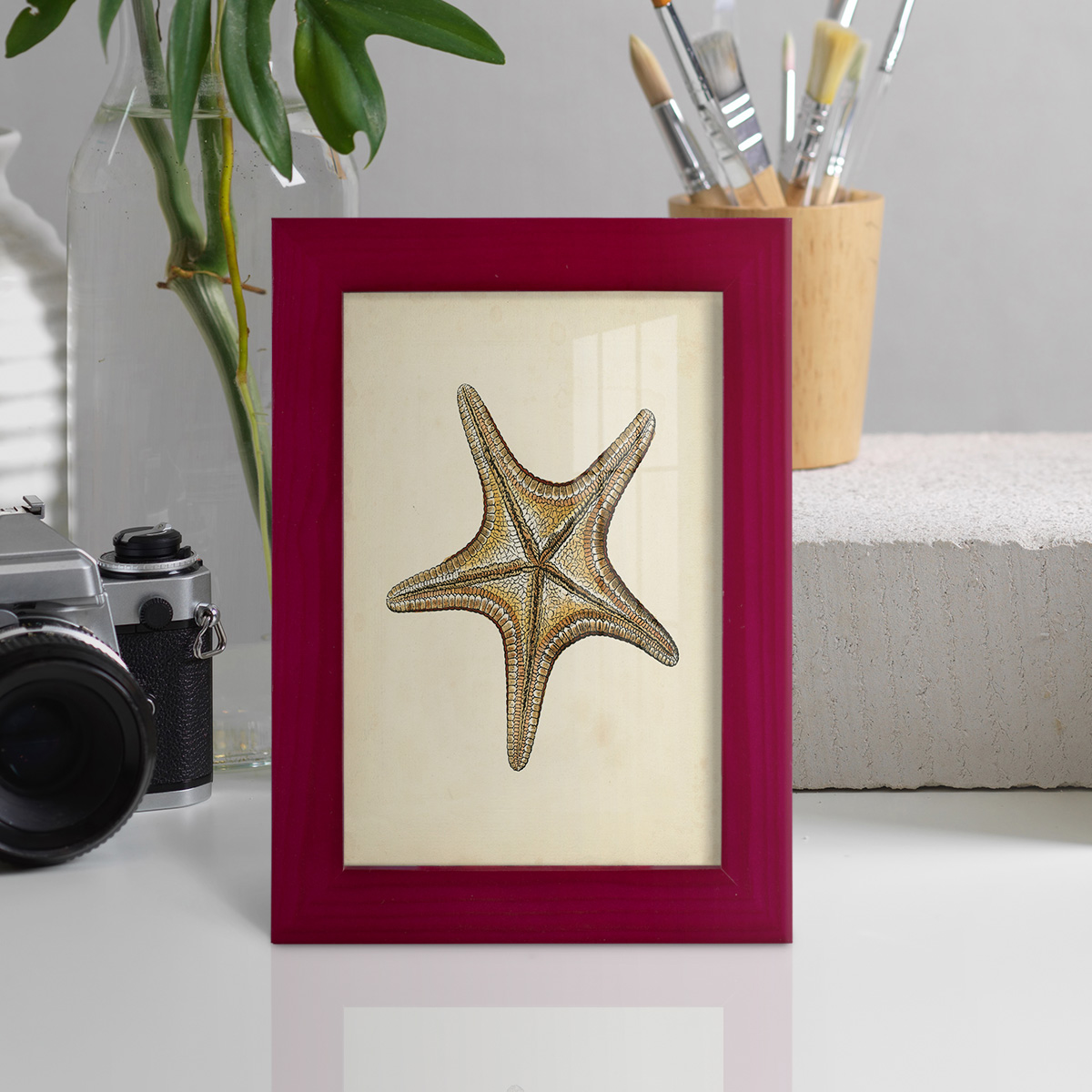 Sealife Collection IV - Framed Print w/glass - Cherry Red