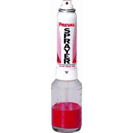 How To Use A Paint Sprayers How To Use A Paint Sprayers