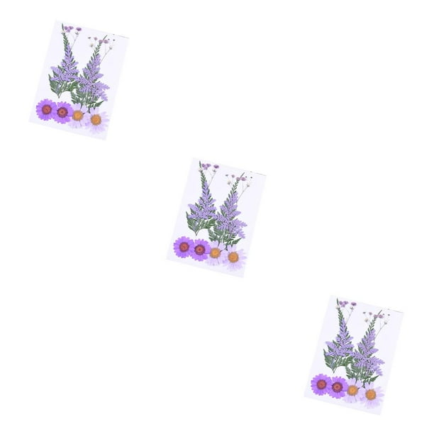 Advancent Ramos de flores secas Flores prensadas Decoraciones de mixtas Hermosos accesorios de bricolaje para tarjetas de boda kit de flores juego de flores moradas 3piezas