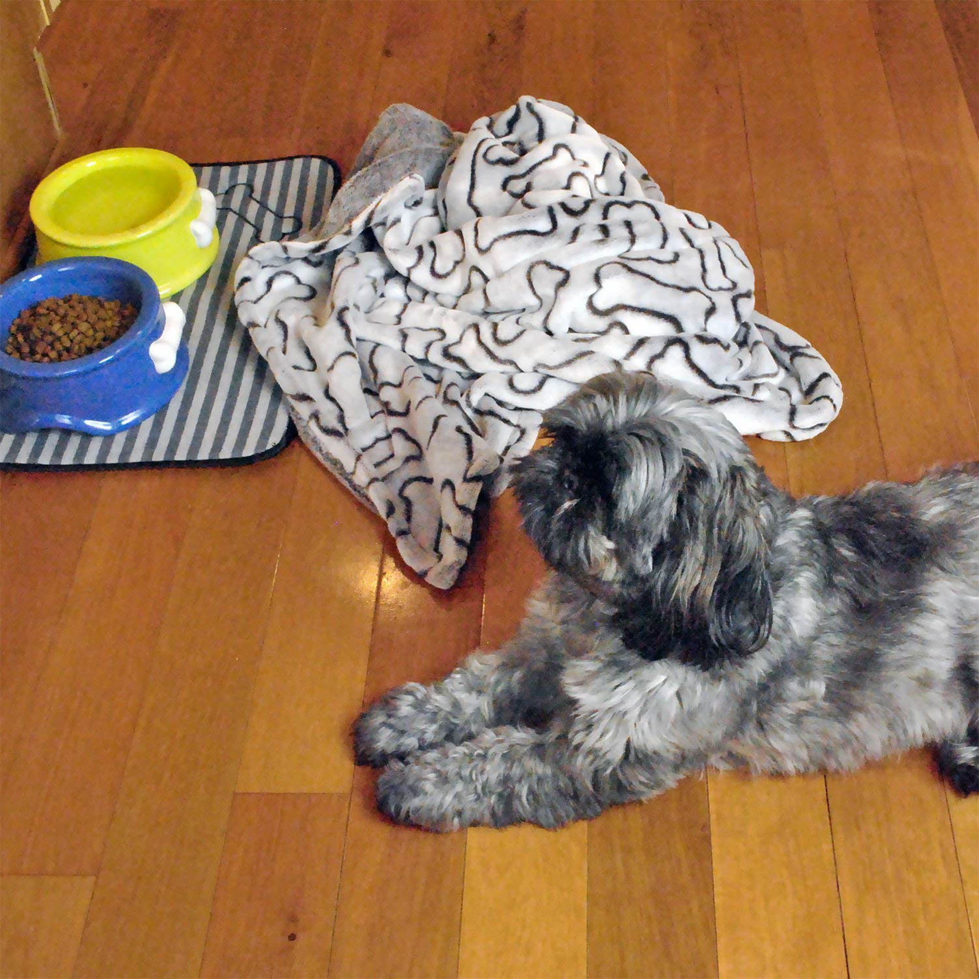 bone dry dog blanket