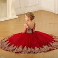 thumbnail image 5 of Drtj 2-14T Kids Teens Flower Girl Dresses Wedding Pageant Dresses Tulle Applique Prom Ball Gowns, 5 of 8