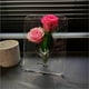 thumbnail image 5 of Vase Acrylic Photo Frame Vase Hydroponic Flower Planter Transparent Vase, 5 of 5