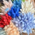 thumbnail image 2 of 50Pcs Dried Pampas Grass Eternal Flower,Dried Rabbit Tail Grass for Wedding Bouquets Decoration,17.7inch, 2 of 7